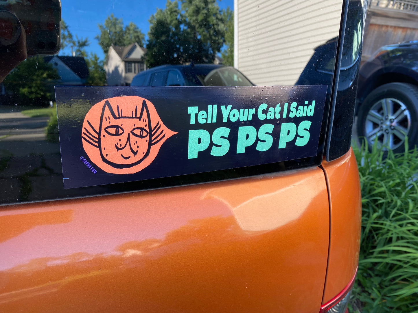 Tell Your Cat I Said Ps Ps Ps Bumper Sticker