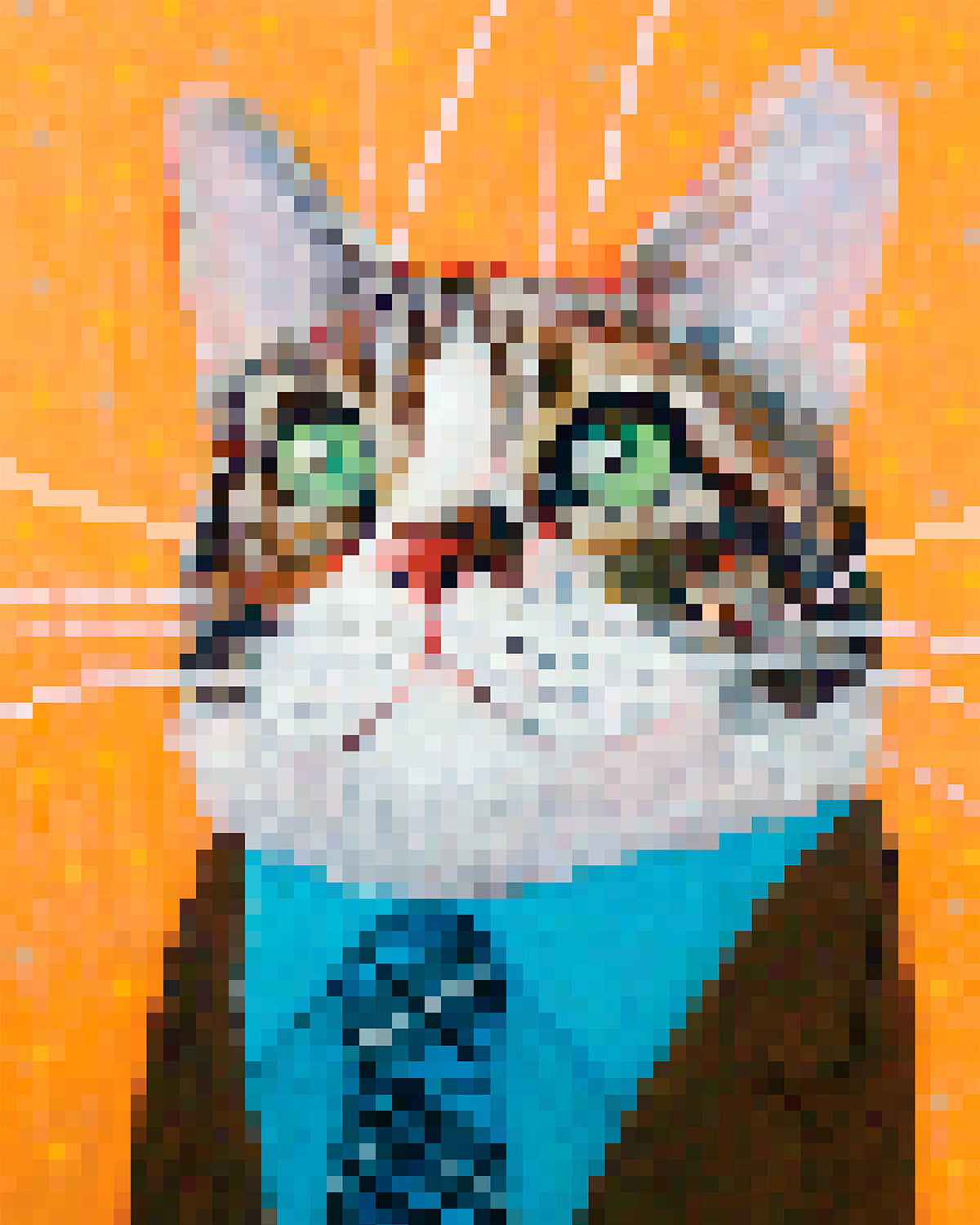Pixel Riley