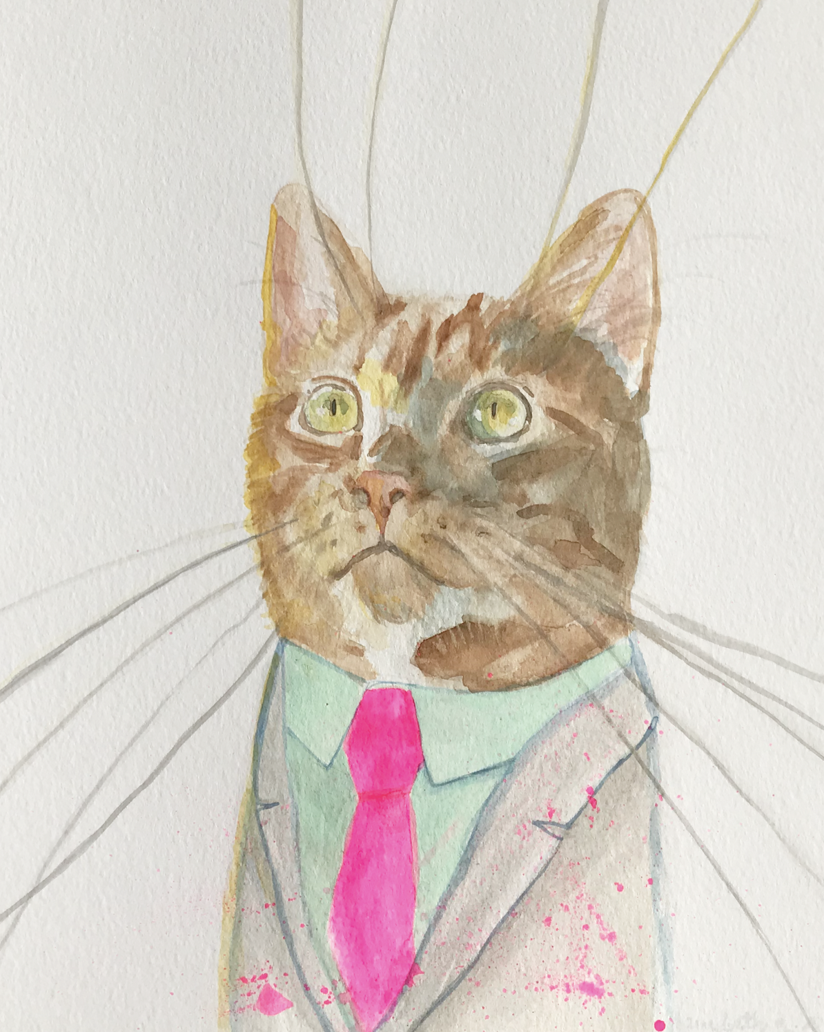 Giclée Print Cat Sambar