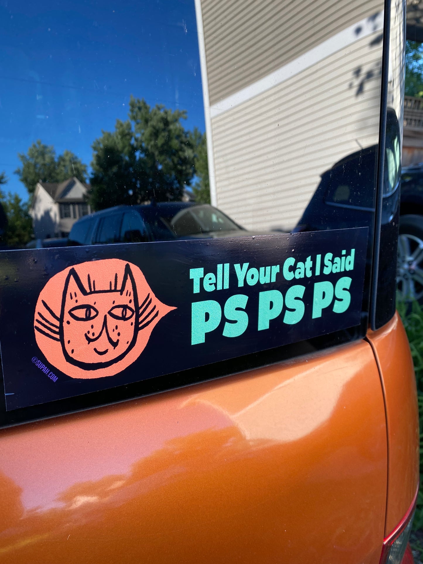 Tell Your Cat I Said Ps Ps Ps  Bumper Sticker