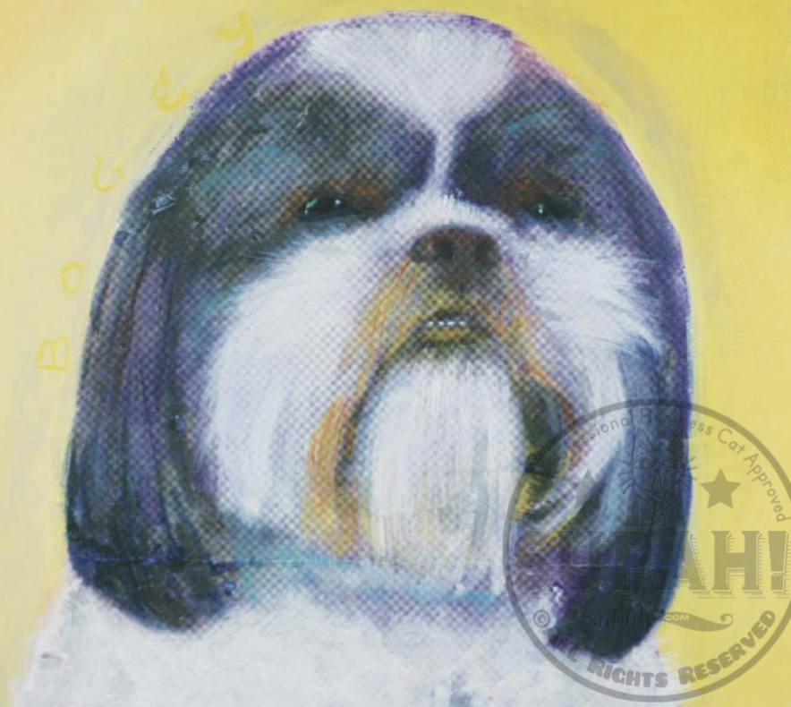 Giclée Print Dog Bogey the Shih Tzu